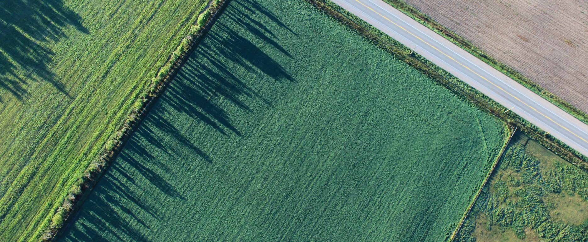 Aerial view of farmland showing large fields and boundaries, illustrating how land value can increase dramatically once planning permission is granted.