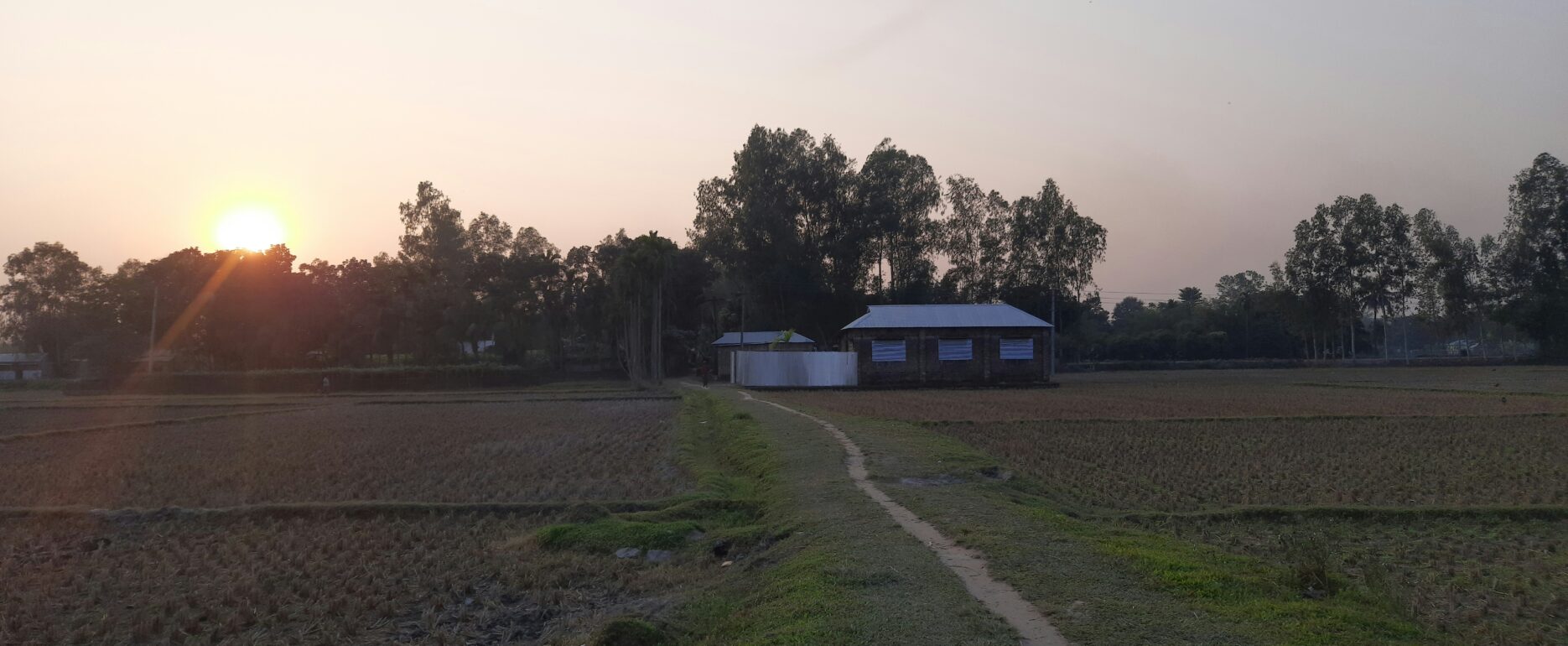 Sunset over a rural agricultural landscape, symbolising long‑term succession planning and inheritance tax considerations for landowners.